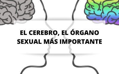 El órgano sexual más importante que todos poseemos: el cerebro